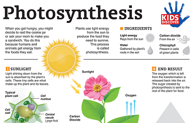 Quintessential Definition